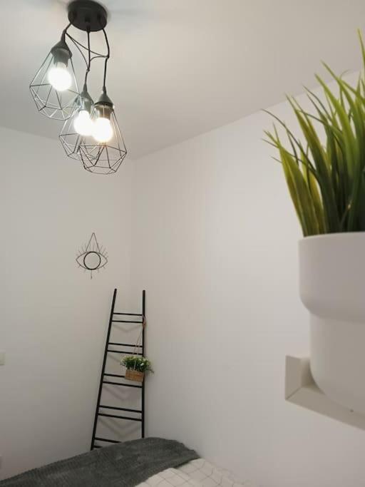 Precioso Apartamento Con Terraza En Piso Superior Los Realejos Exteriör bild
