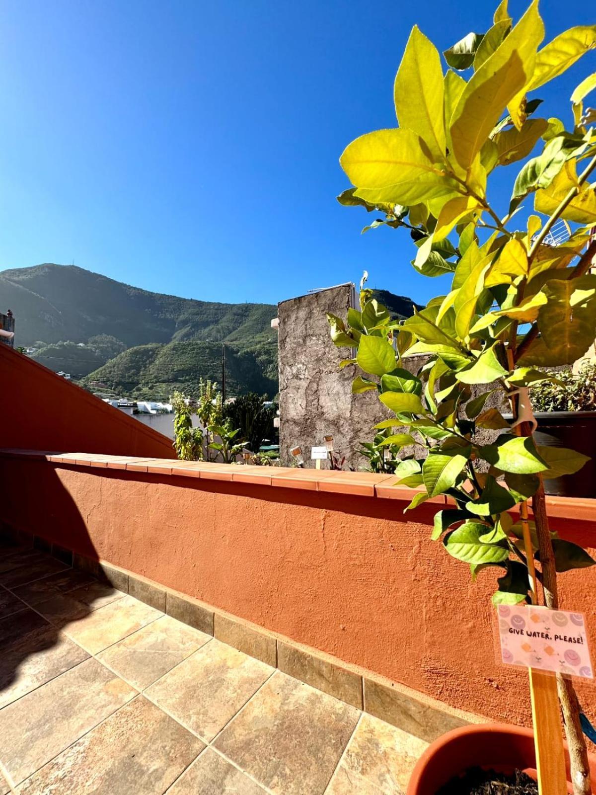 Precioso Apartamento Con Terraza En Piso Superior Los Realejos Exteriör bild